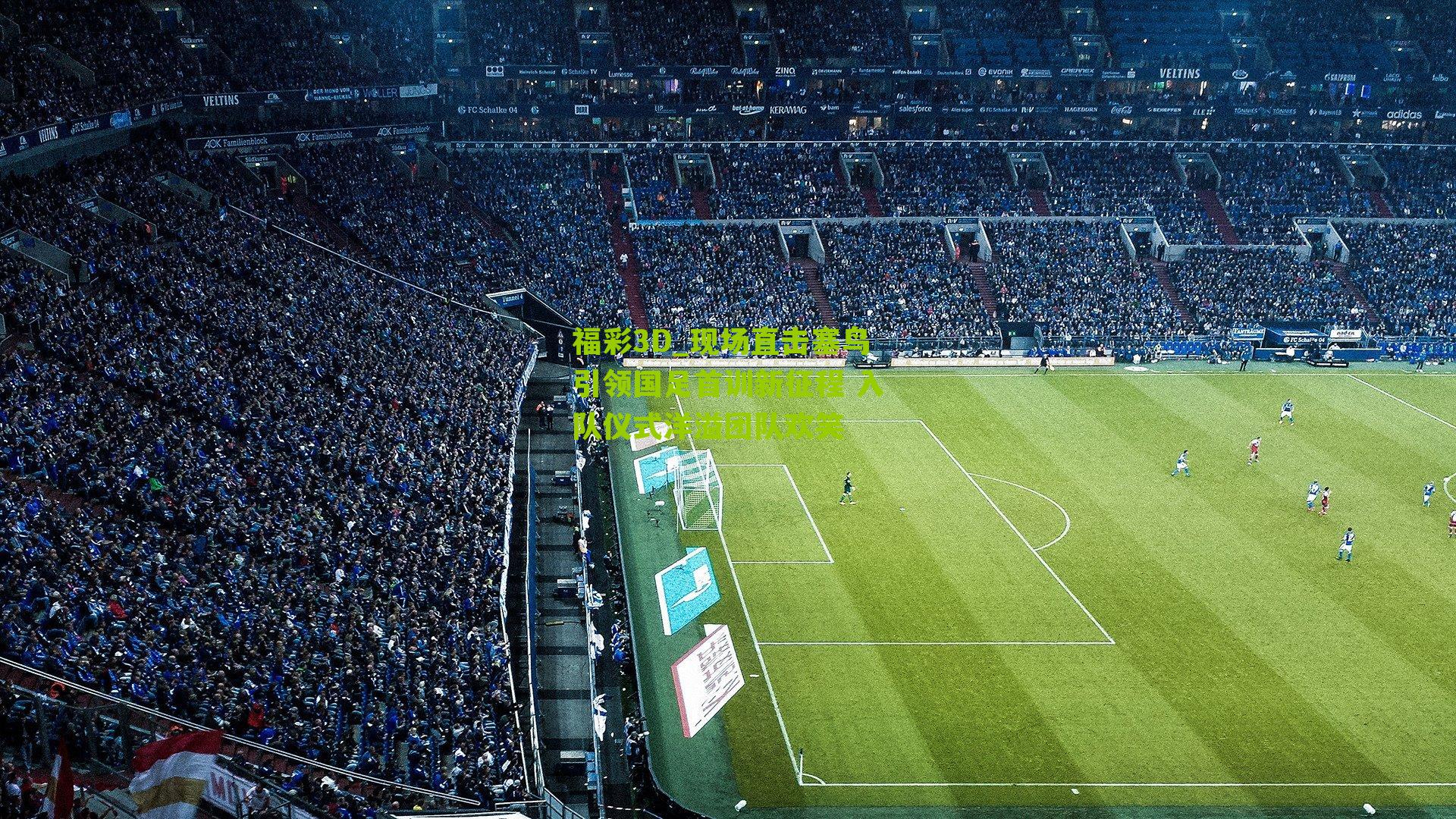 现场直击塞鸟引领国足首训新征程 入队仪式洋溢团队欢笑